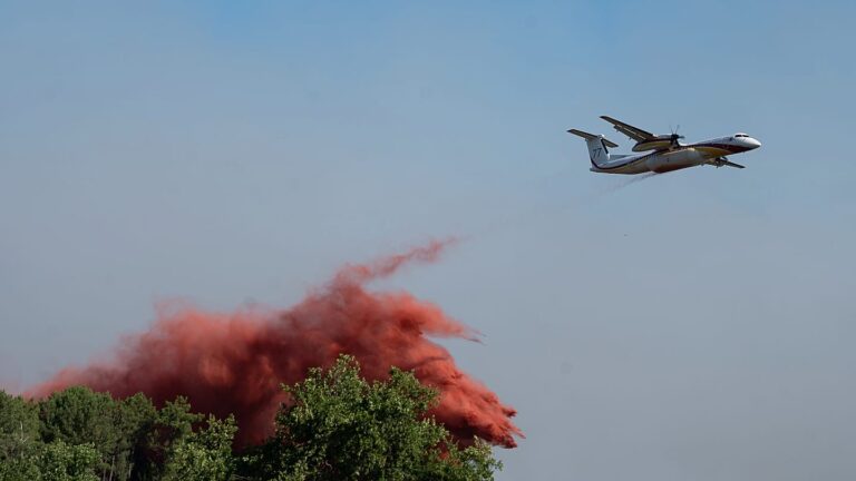 Incendies en France et en Espagne : près de 200 000 évacuations dans une crise sans précédent