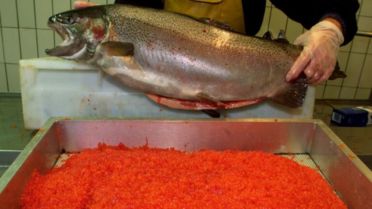Listeria dans des produits de truite saumonée « Le Terroir du Léman » : rappel national en cours
