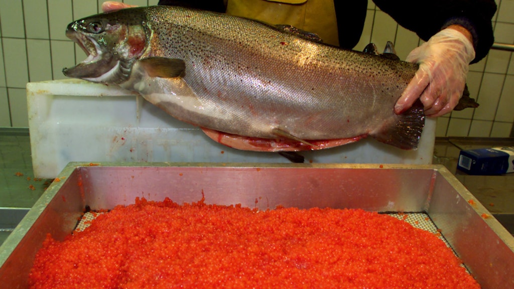 Listeria dans des produits de truite saumonée « Le Terroir du Léman » : rappel national en cours
