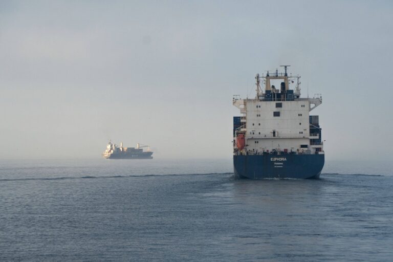 Un cargo indien coulé en mer Rouge : les Houthis frappent au large de Hodeida