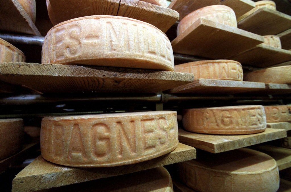 Canicule et sécheresse : les filières fromagères suisses sous pression structurelle